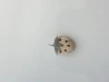 Clothes, hats, hairpins, accessories, shiny silk fabric, strawberries Item Picture